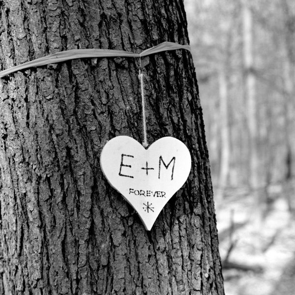 E+M